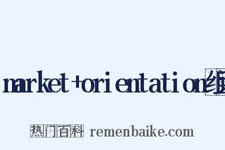 market+orientation组词是什么意思的图片
